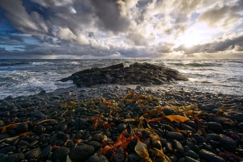 Free Captivating sunrise over rocky seashore in Ölfus, Iceland, featuring dramatic clouds. Stock Photo