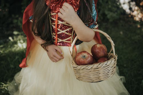 Foto profissional grátis de cesta, fantasia, frutas