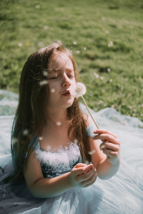 Photos gratuites de jeune fille, mise au point sélective, pissenlit