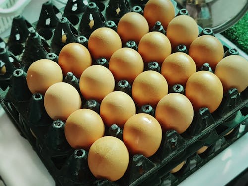 Free Rows of Fresh Eggs on Tray Stock Photo