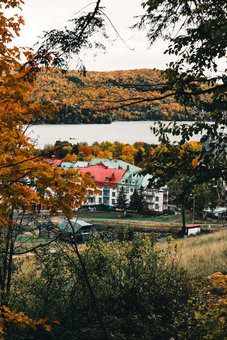 White Building Surrounded By Trees 