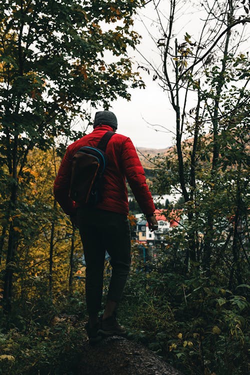 A Man Walking Alone in the Forest 