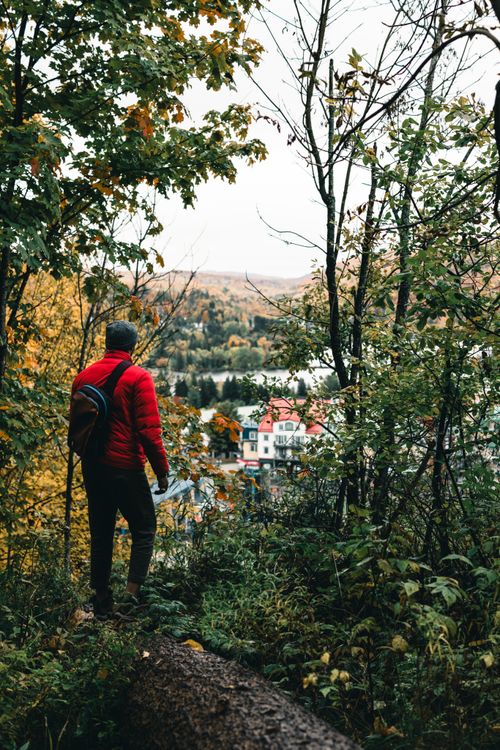 Free Man in red jacket hiking in Mont-Tremblant forest overlooking scenic autumn views. Stock Photo