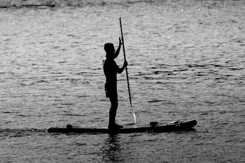 Darmowe zdjęcie z galerii z czarno-biały, deska surfingowa, monochromatyczny