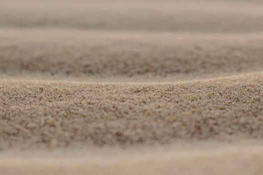 Detailed close-up of sandy ripples at Canoa Quebrada, Brazil capturing the texture and pattern.