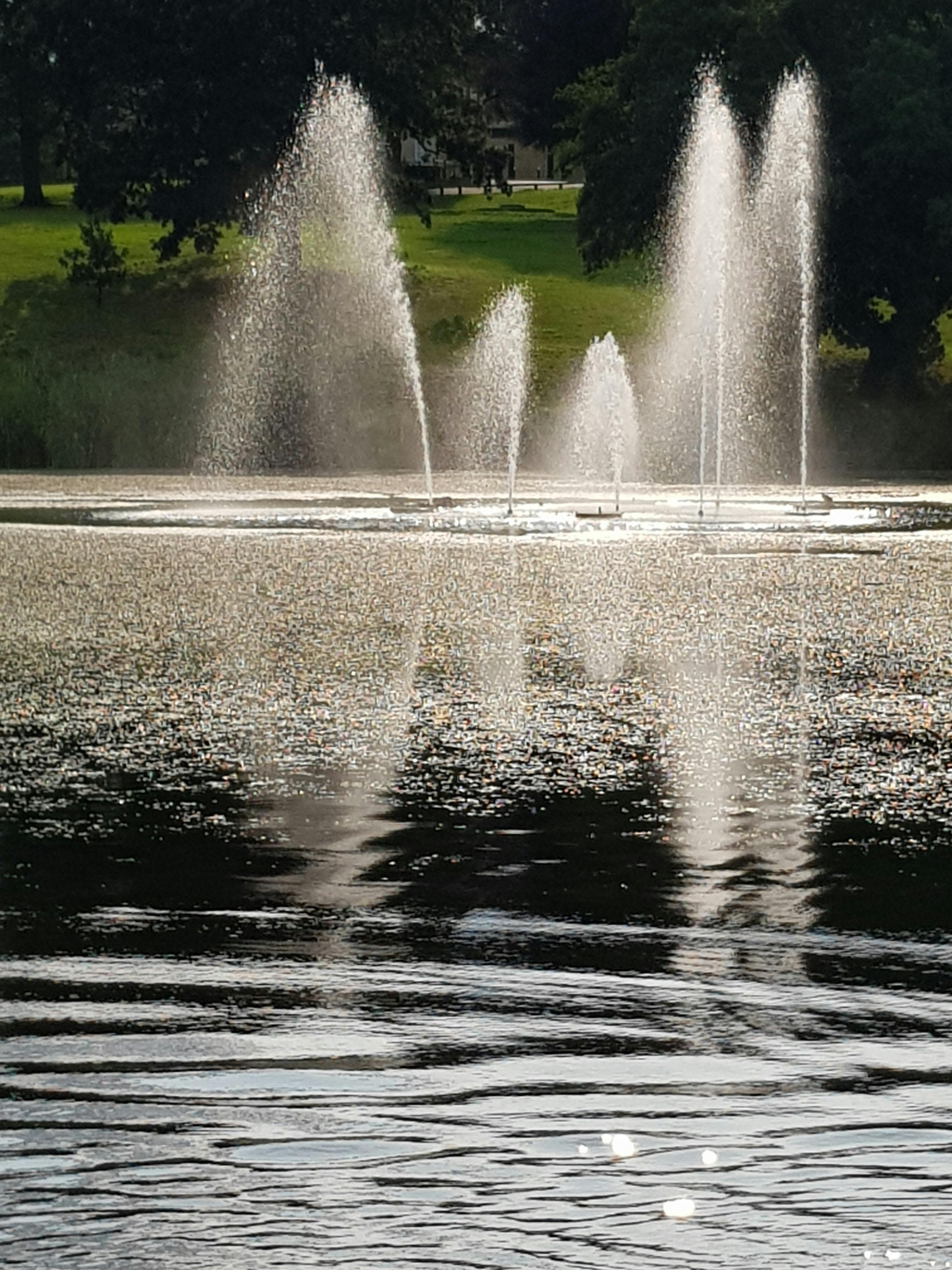 Free stock photo of fountain, nature park, water