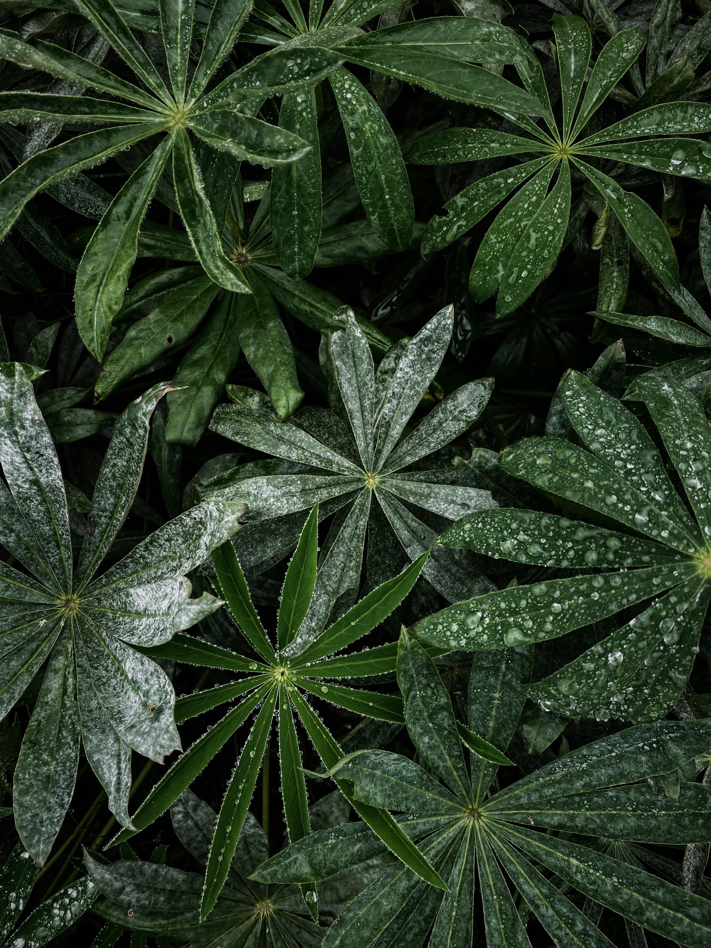 Photo by Eugene Golovesov