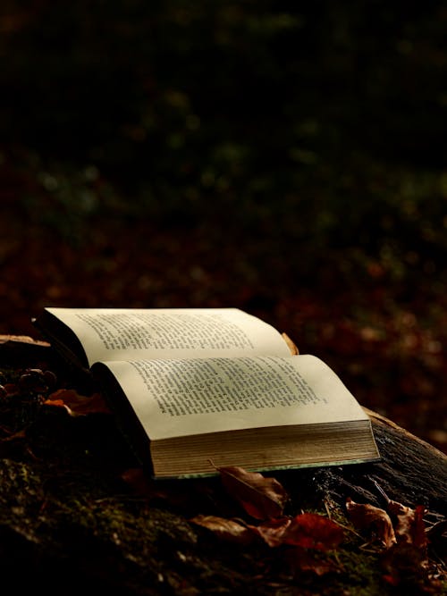 Foto stok gratis Buka buku, Daun kering, kehidupan tenang