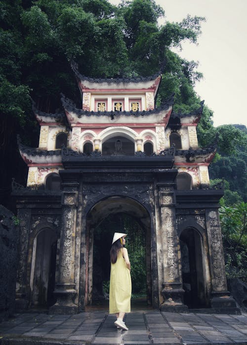 Immagine gratuita di alberi verdi, antico, ao dai