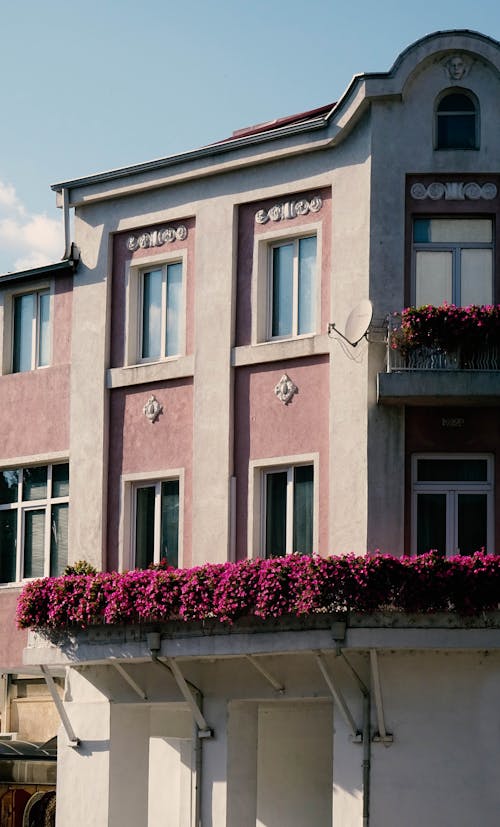 Concrete Building with Pink Bougainvillea Flowers 