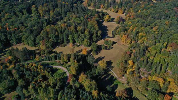 Drone shot capturing vibrant autumn forests with winding paths and open fields.