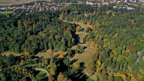 Безкоштовне стокове фото на тему «Аерофотозйомка, дерева, знімок із дрона»