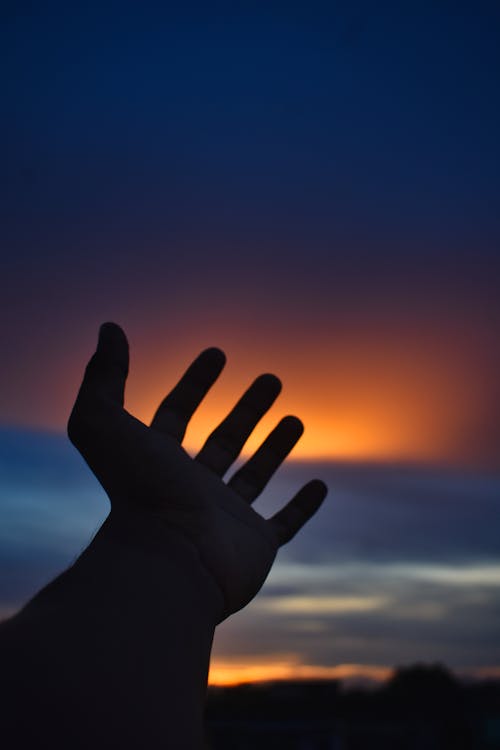 Free Silhouette of a Hand Stock Photo
