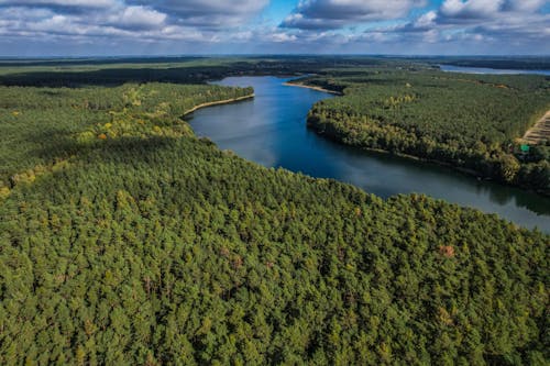 View of a River 