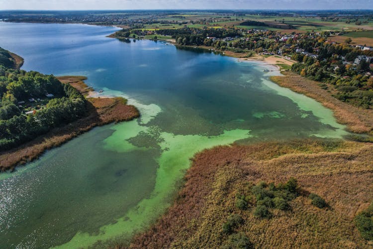 Drone Shot Of River