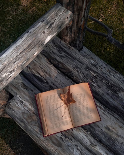 A Book on a Wooden Bench