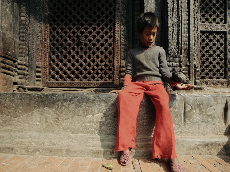 A Boy Holding A Bird