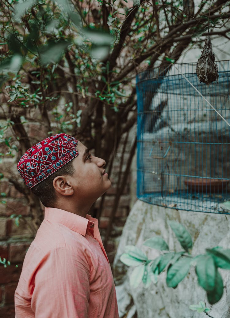 A Young Boy Wearing Red Cap While Looking At The Cage