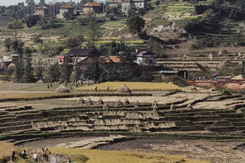 Free A scenic aerial shot of rice terraces with farmers and village houses in a rural area. Stock Photo