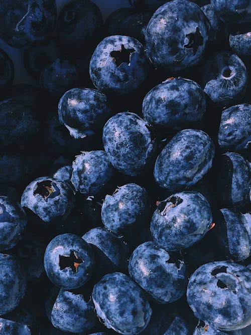 Closeup Photography Blueberry Fruits