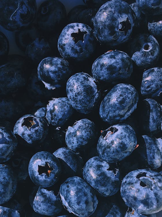 Fotografia De Close Up Com Frutas De Mirtilo