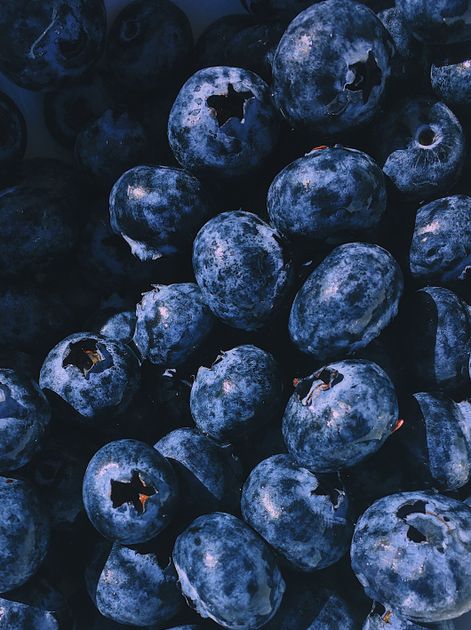 Mirtilos frescos em close-up — fruta azul-arroxeada rica em antocianinas