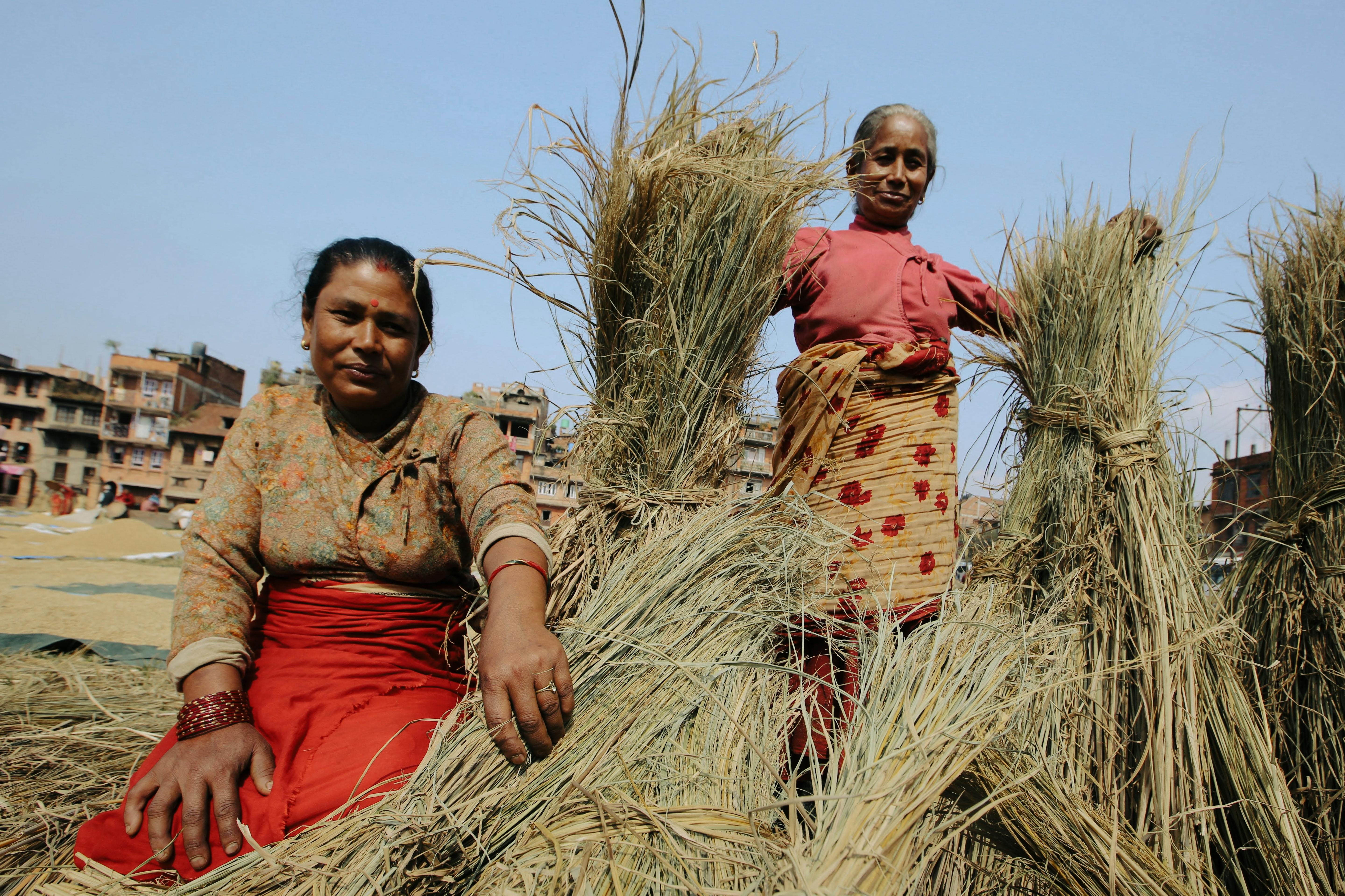 From Tragedy to Resilience: Women Farmers in Ghana Turn to Agroecology to Confront Climate Change — Photo by Mehmet Turgut  K
