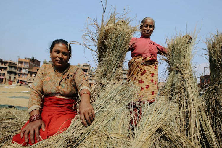 Farmers Beside Bundle Of Wheat Grass Looking At The Camera