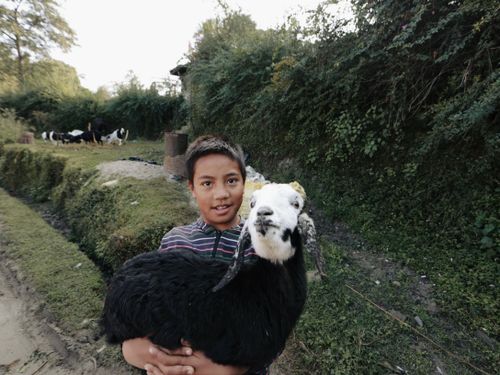 Free A young boy smiling while holding a goat in a lush countryside setting. Stock Photo
