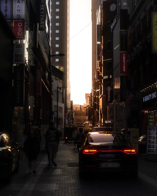Street in Shadow at Sunset