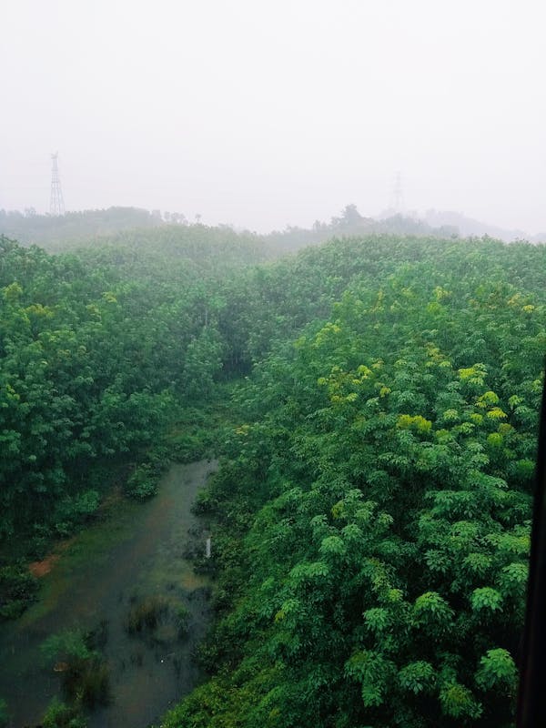 Roofing Materials Guide