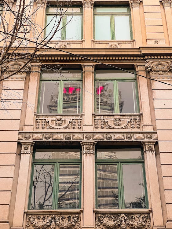 Windows on a Building with Intricate Designs