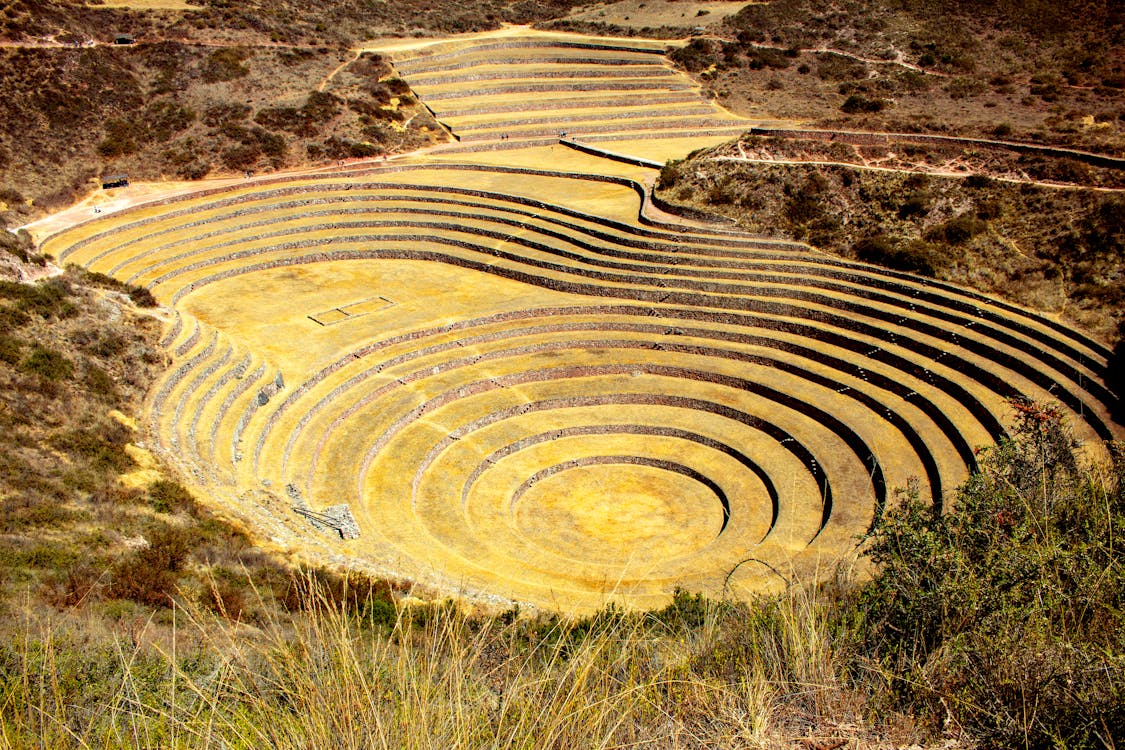 The Sacred Valley's agricultural terraces.