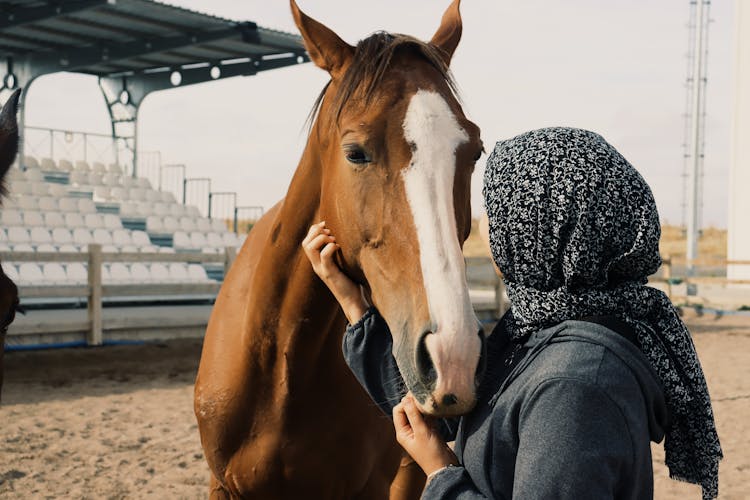 Woman In Hijab Touching Horse