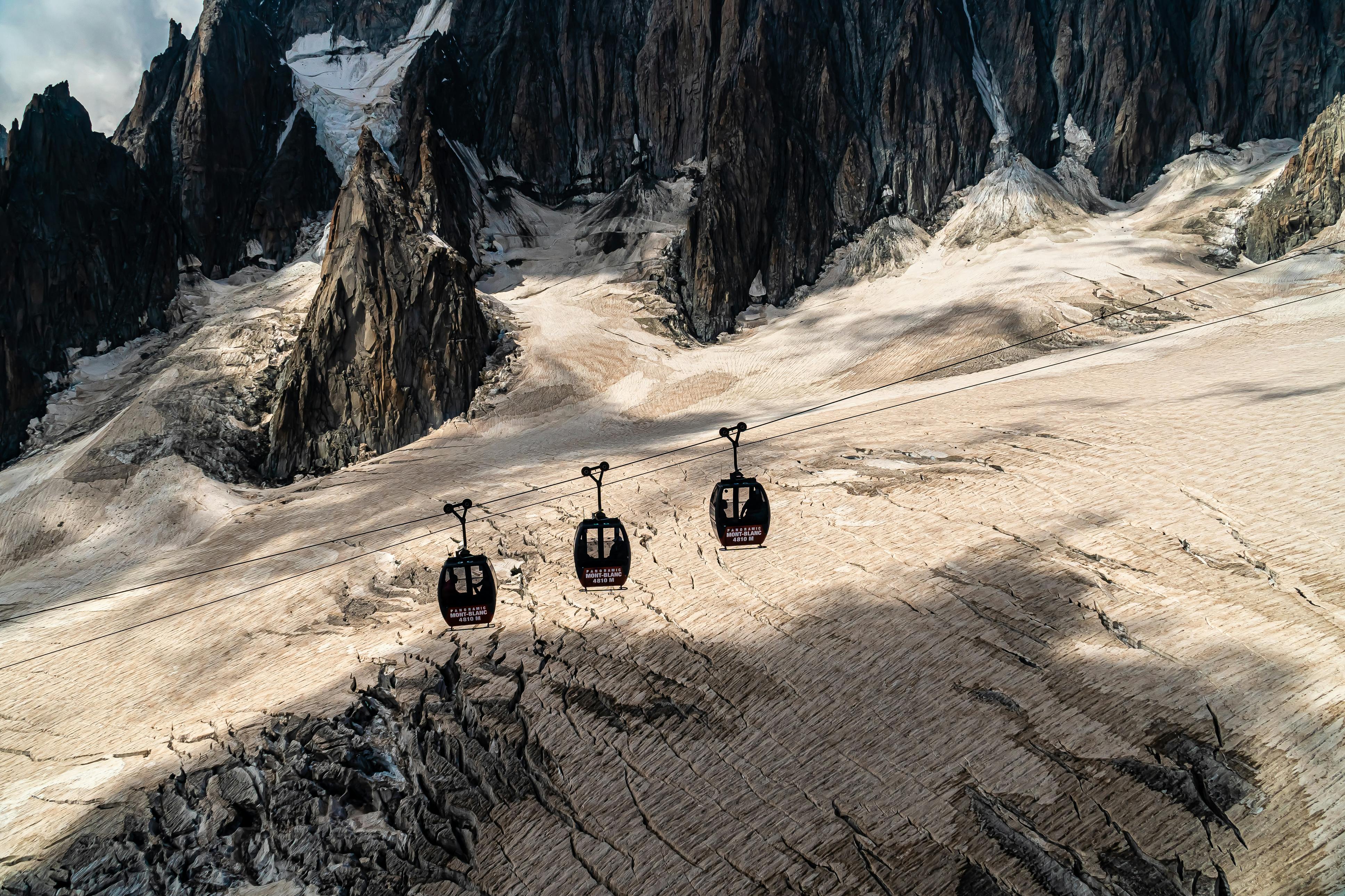 Which zodiac is cold blooded?