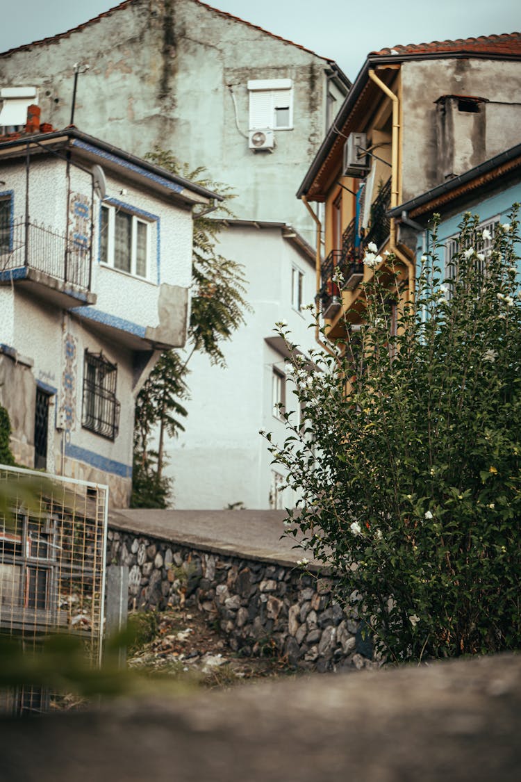 Traditional Residential Buildings 