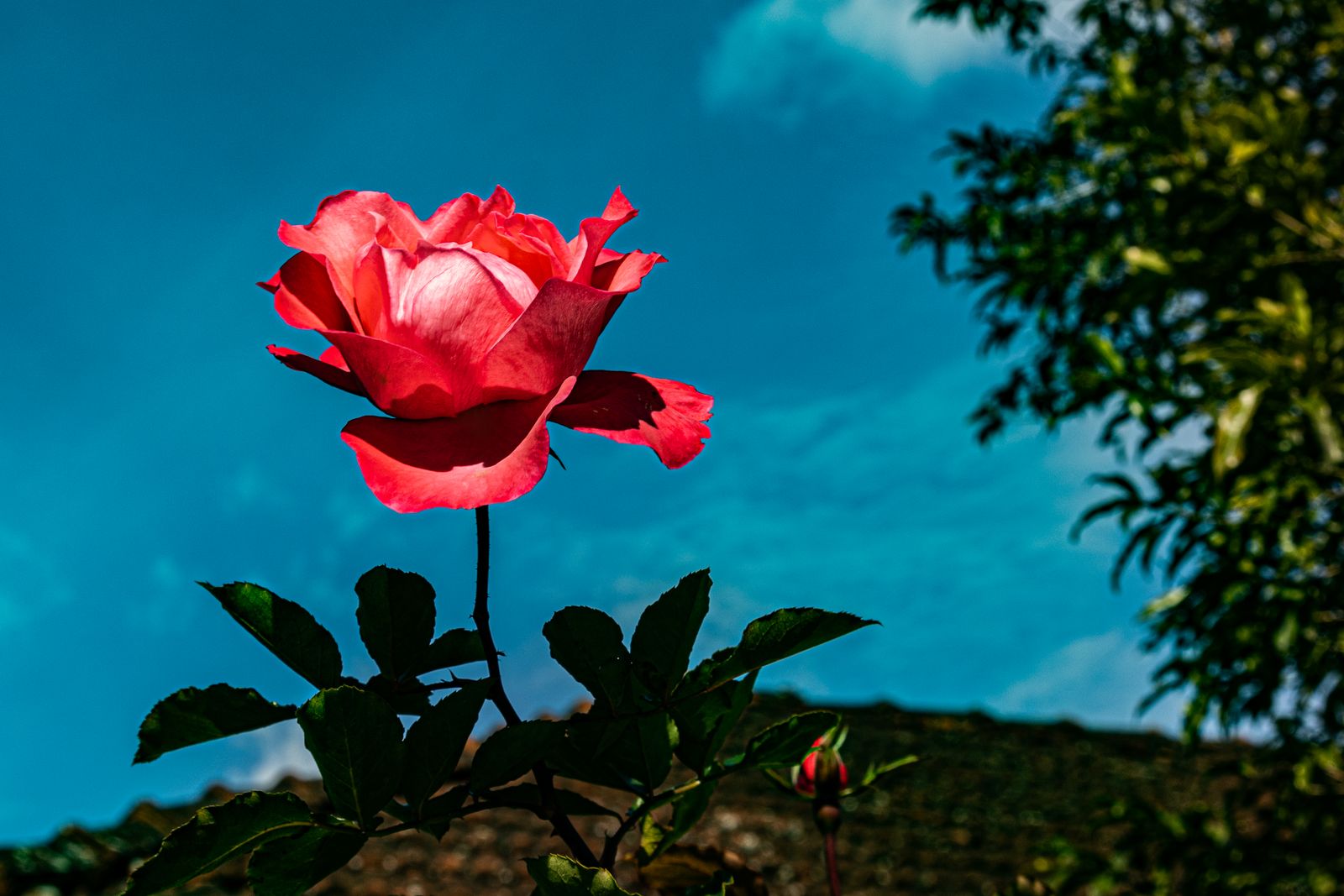 pexels photo 13965765