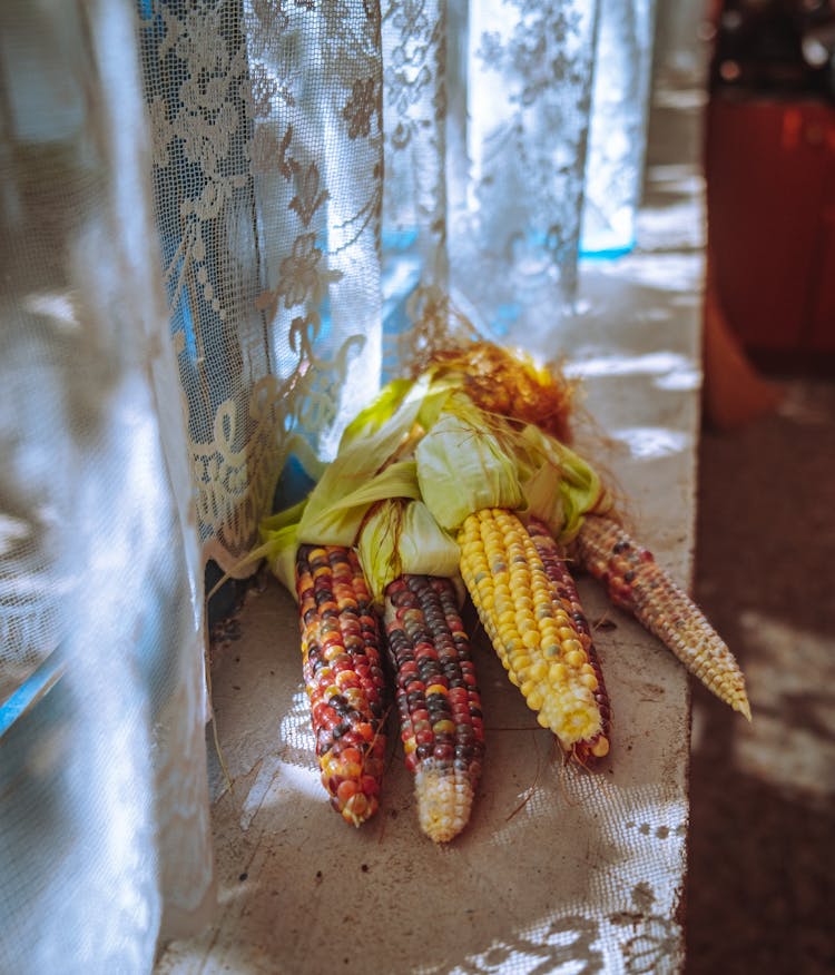 Corns On White Table