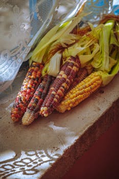 Vibrant glass gem corn displayed on a rustic windowsill with natural light highlighting their colors.
