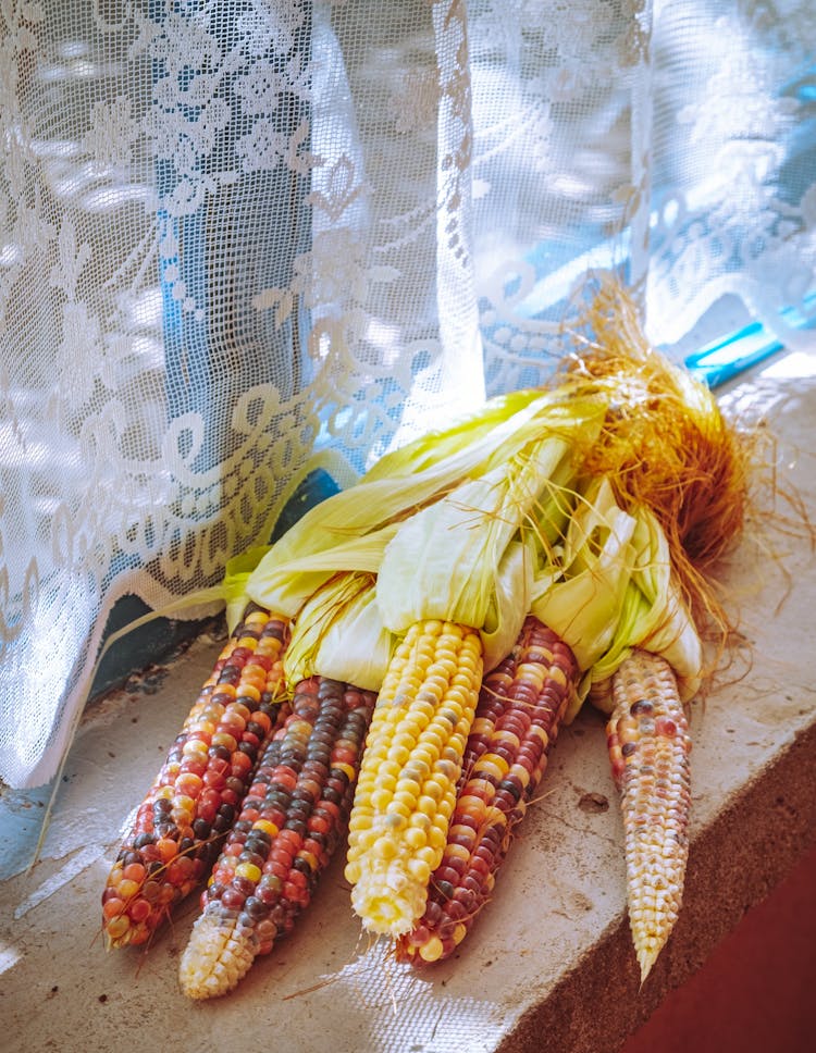 Colorful Corn On Windowsill