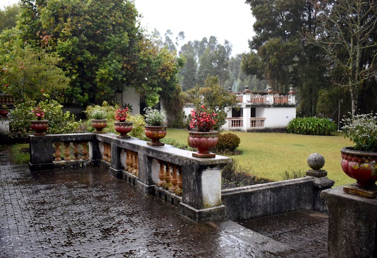 Wet From Rain Terrace And A Garden View In Summer 