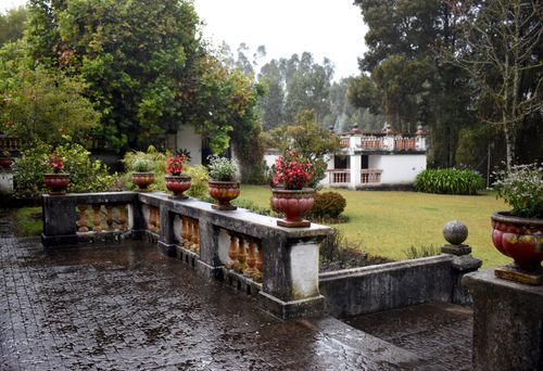 Free A scenic view of a lush garden terrace under rainfall in Pintag, Ecuador. Stock Photo