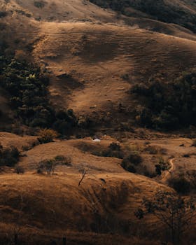 A peaceful aerial shot of a hilly landscape with golden tones and scattered greenery
