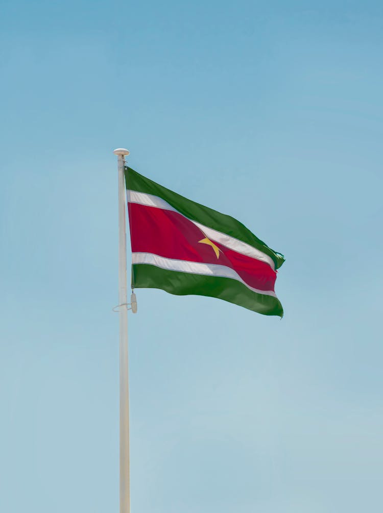 Suriname National Flag