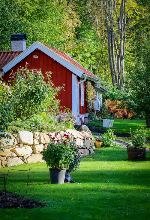 Free Idyllic red cottage surrounded by vibrant green garden and trees in a serene forest setting. Stock Photo