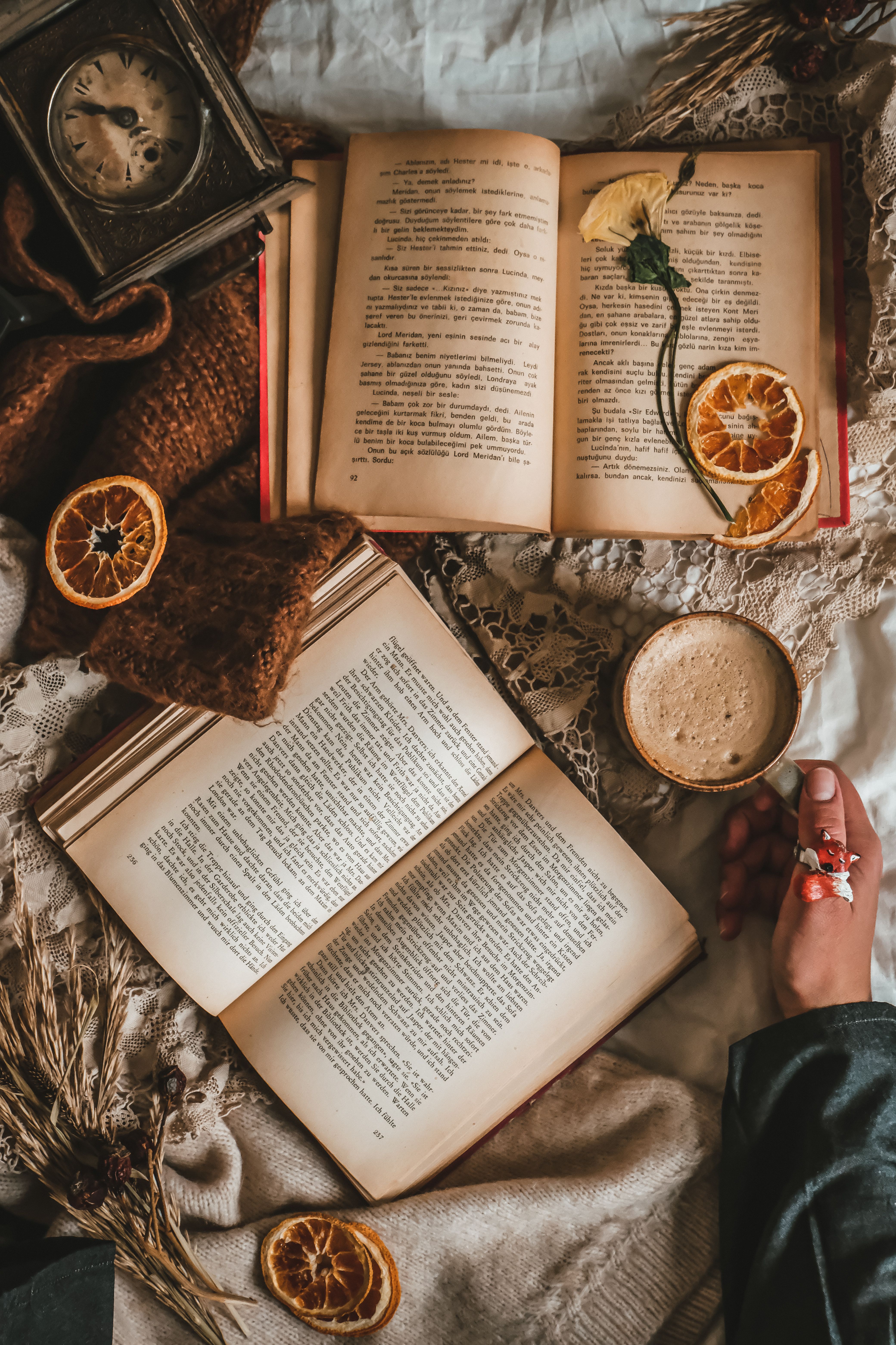 Literature article