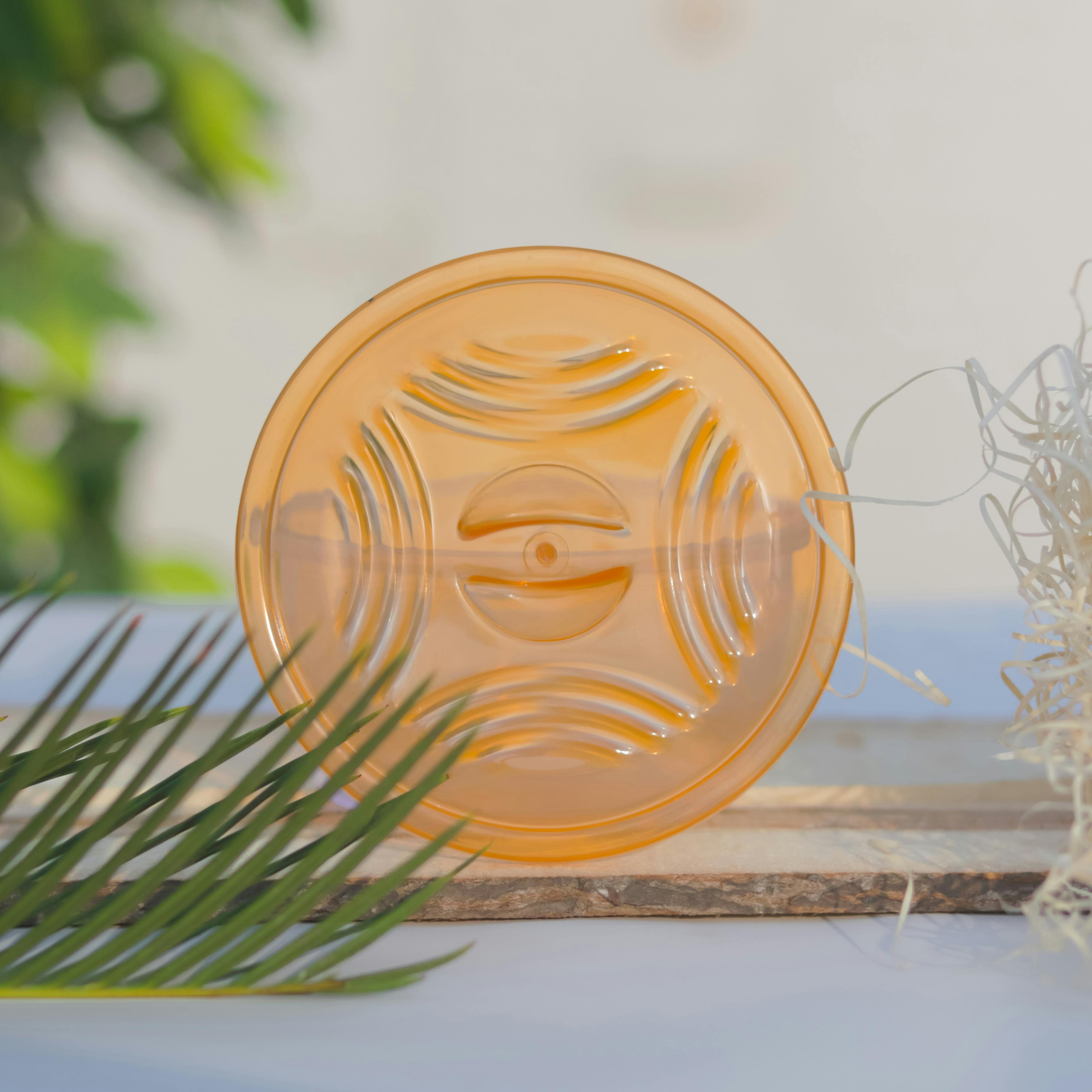 Lid of a Plastic Container