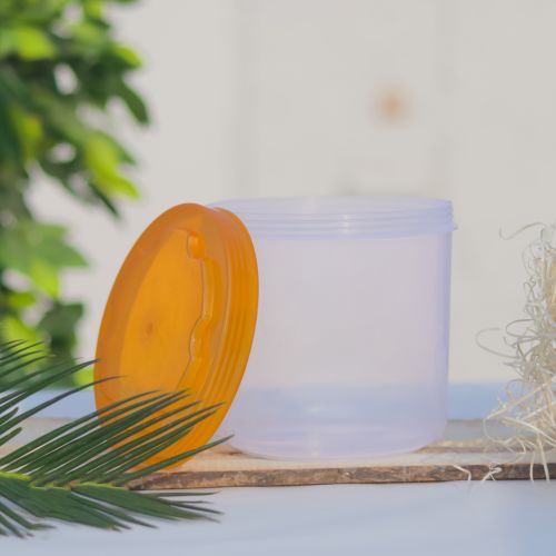 Free Clear plastic container with an orange lid open, surrounded by greenery and natural elements. Stock Photo