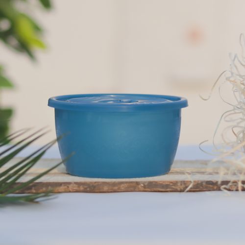 Free A blue plastic container with lid on a rustic wooden tray, outdoors, with blurred greenery. Stock Photo