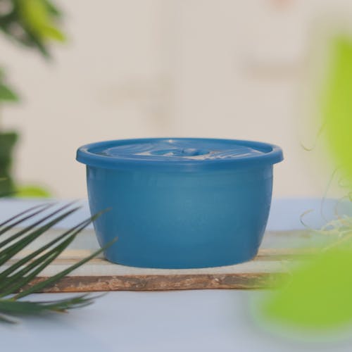 Photo of a Blue Plastic Food Container, and Green Plants